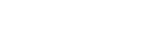 Dyson V16 Piston Animal logo.